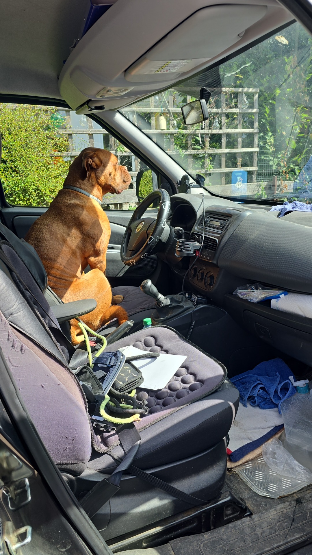 🐾Also meine Amy übernimmt dann heute das fahren😂🐾